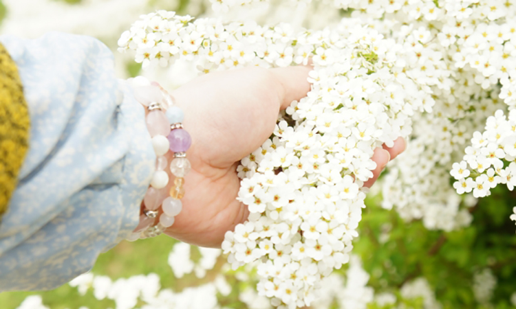 葬祭サービス業